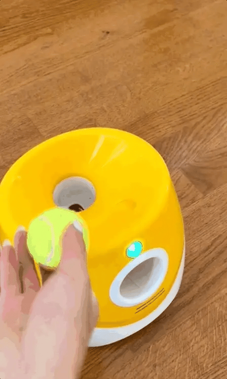 Ball Launcher for High-Energy Pups