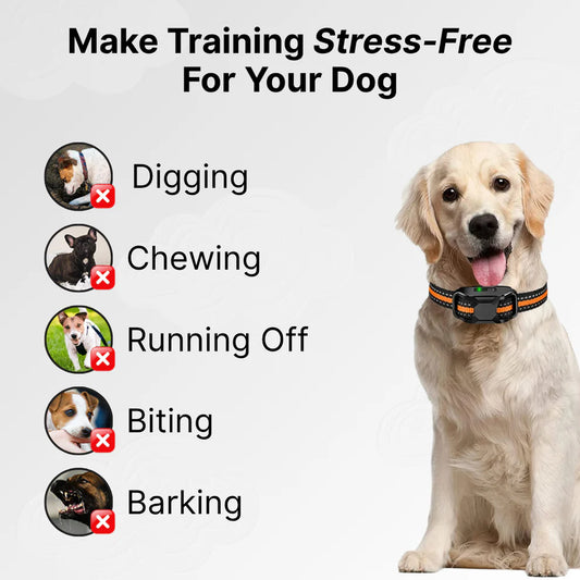 Pets' Joy store™Remote Control Dog Training