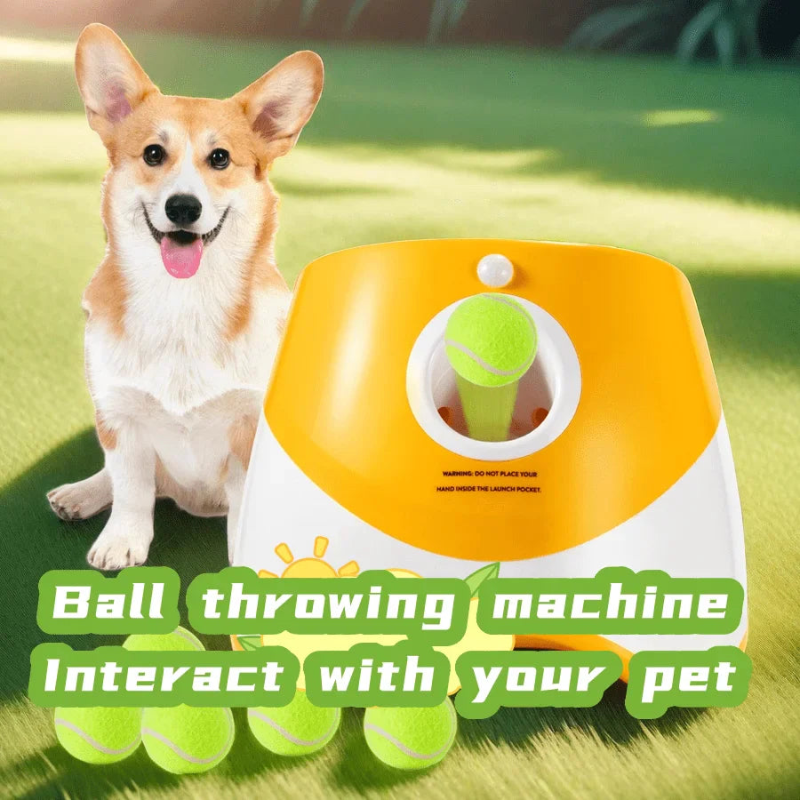 Ball Launcher for High-Energy Pups