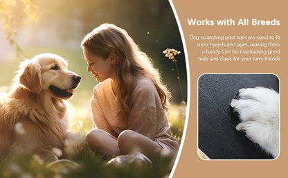 Dog Nail Scratch Board