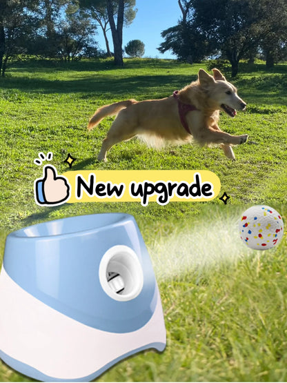 Ball Launcher for High-Energy Pups