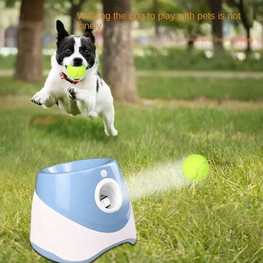 Ball Launcher for High-Energy Pups