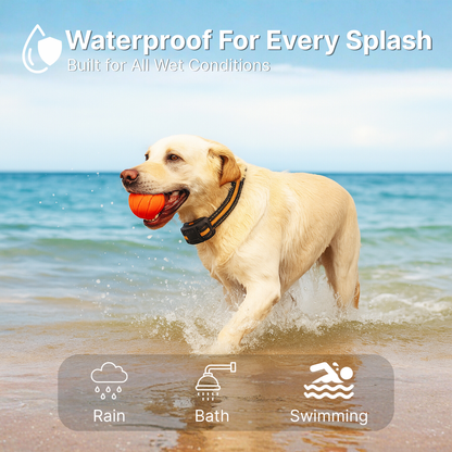 Pets' Joy store™Remote Control Dog Training